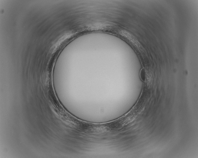 X0000072960583200608041155