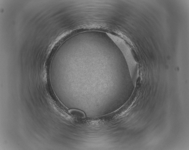 X0000072960584200608041155