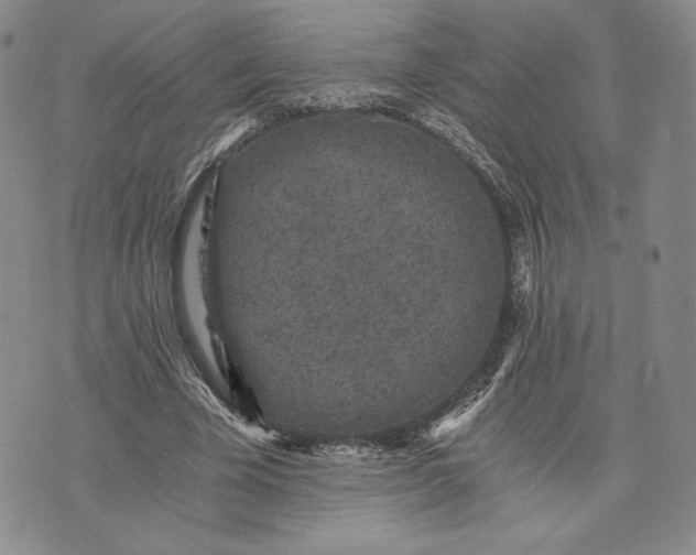 X0000072960585200608041155