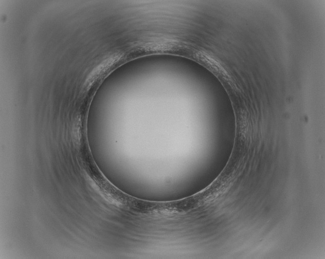 X0000072960586200608041155