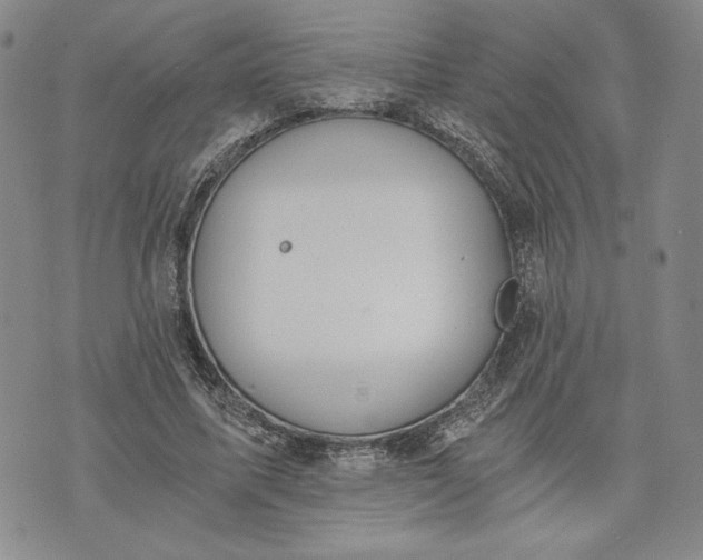 X0000072960587200608041155