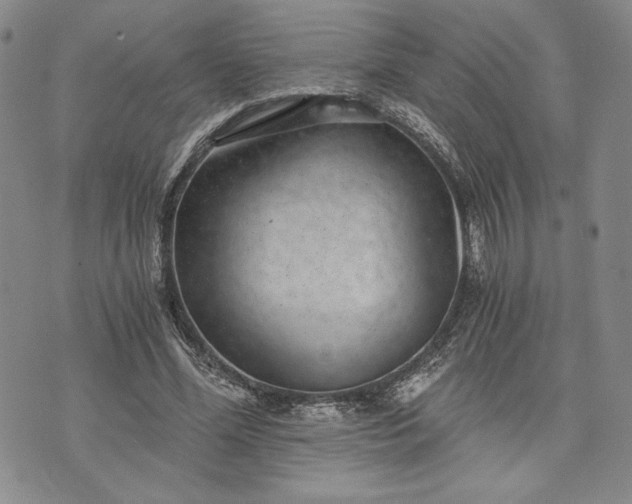 X0000072960588200608041155