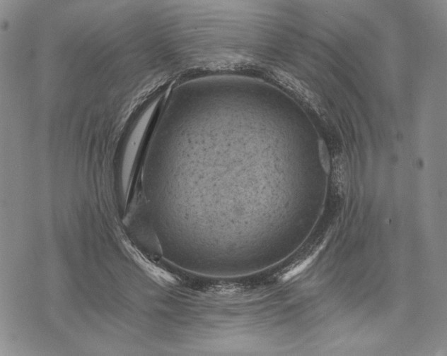 X0000072960589200608041155