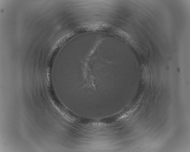 X0000072960590200608041155