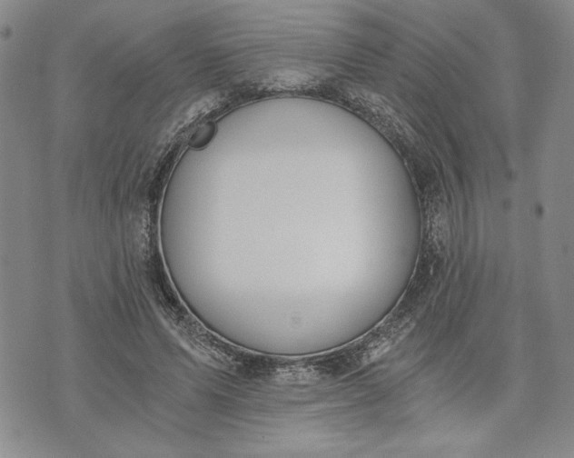 X0000072960591200608041155