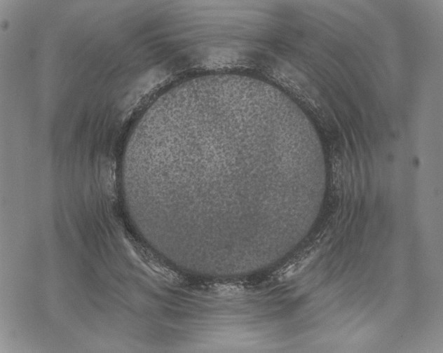 X0000072960592200608041155