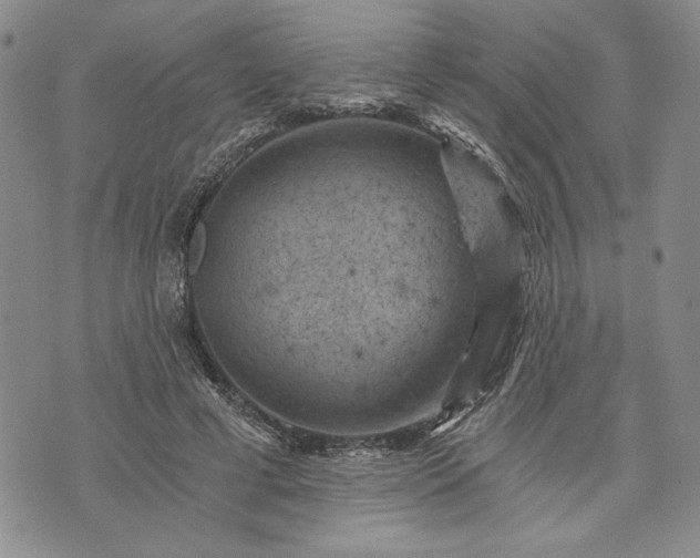 X0000072960593200608041155