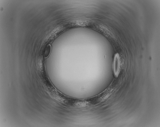 X0000072960595200608041155