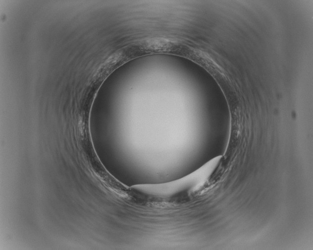 X0000072960597200608041155