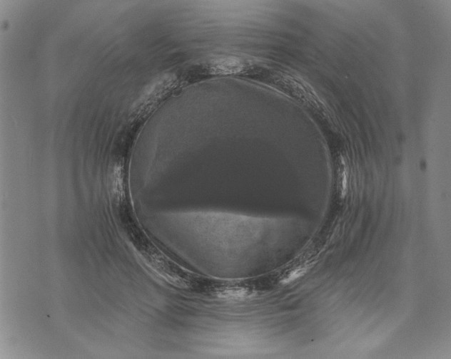 X0000072960598200608041155