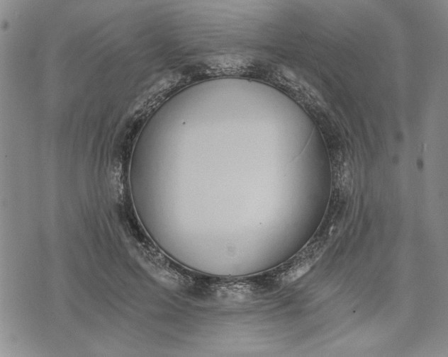 X0000072960599200608041155