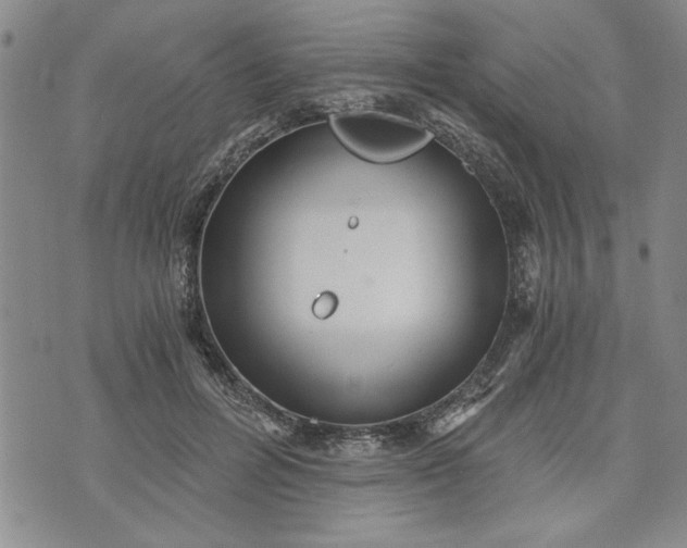 X0000072960600200608041155