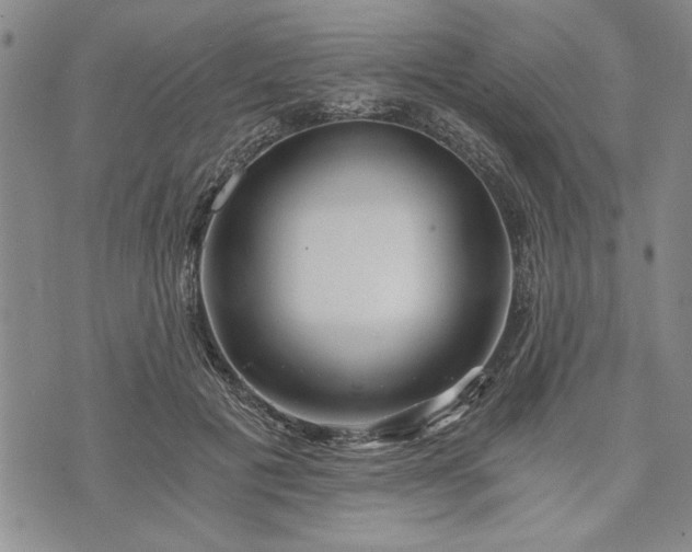 X0000072960601200608041154