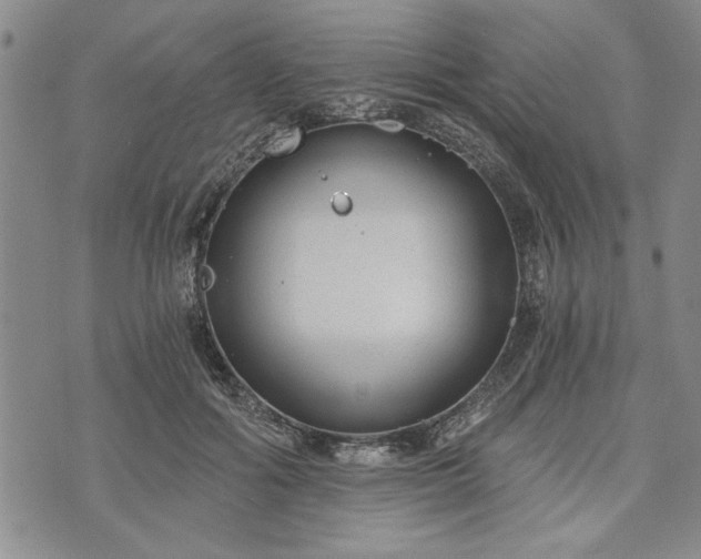 X0000072960602200608041154