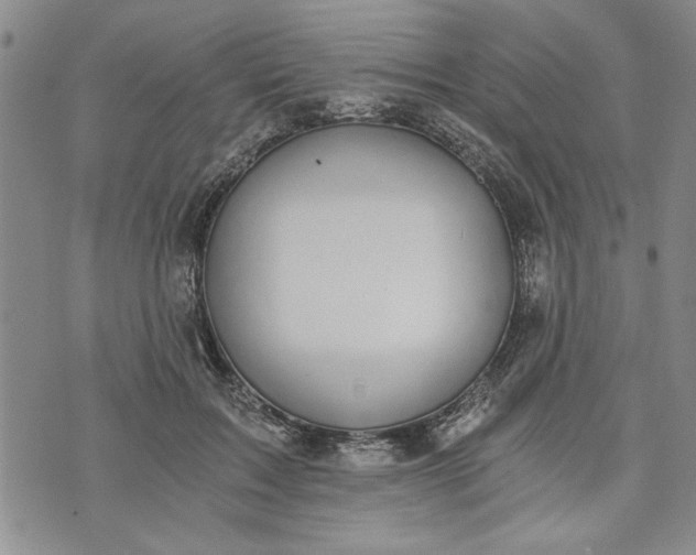 X0000072960603200608041154