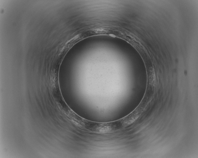 X0000072960604200608041154