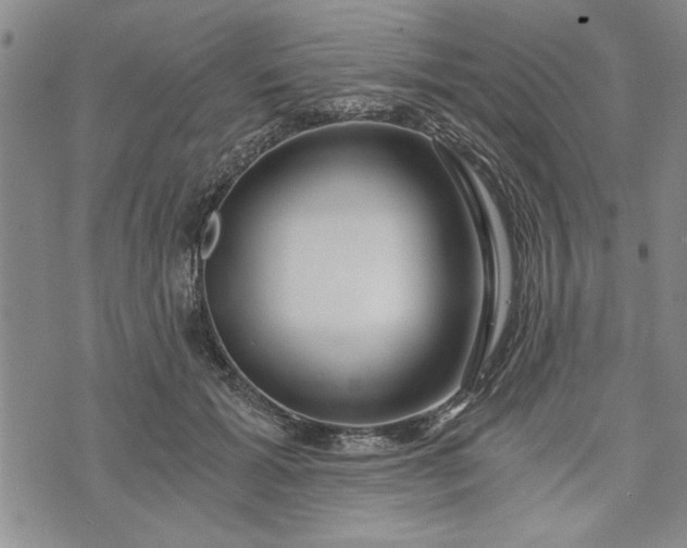 X0000072960605200608041154