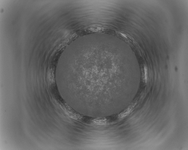 X0000072960606200608041154