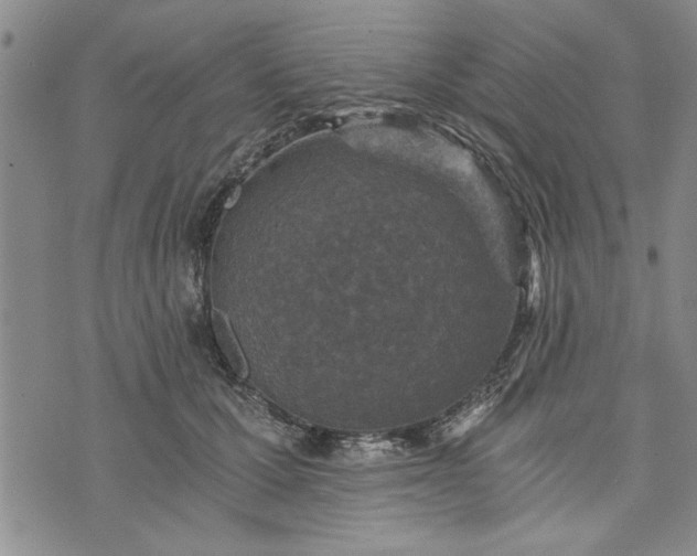 X0000072960607200608041154