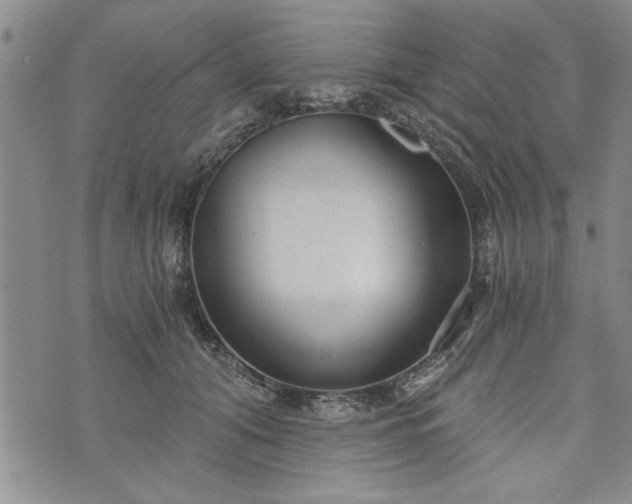 X0000072960608200608041154