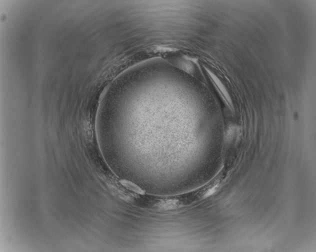 X0000072960609200608041154