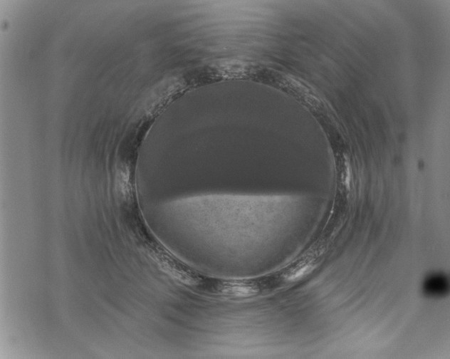 X0000072960610200608041154