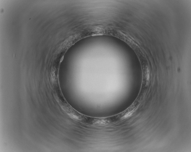 X0000072960611200608041154