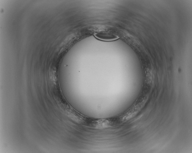 X0000072960612200608041154