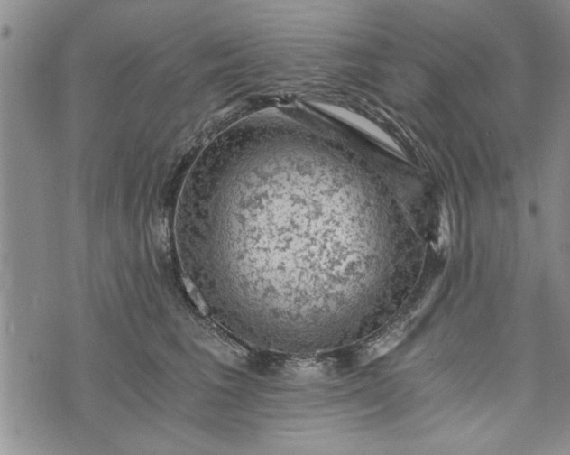 X0000072960613200608041154