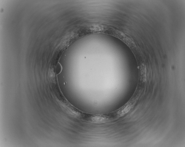 X0000072960614200608041154