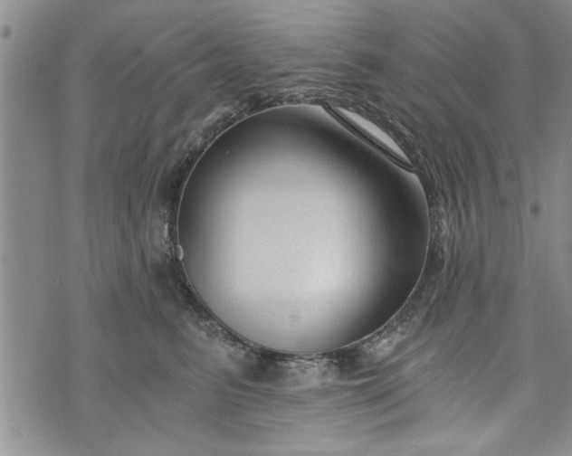 X0000072960615200608041154