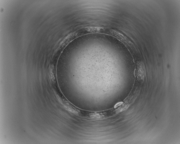 X0000072960616200608041154