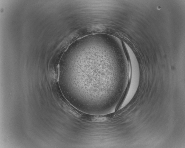 X0000072960617200608041154