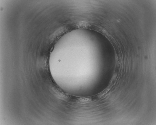 X0000072960619200608041154