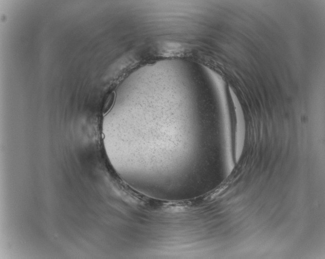 X0000072960620200608041154