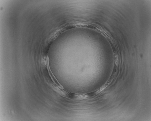 X0000072960621200608041154