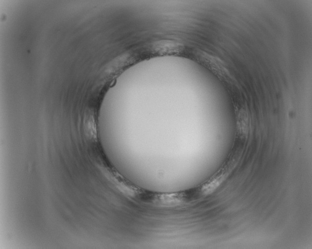 X0000072960622200608041154