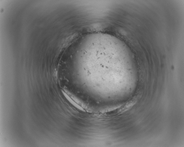 X0000072960624200608041154