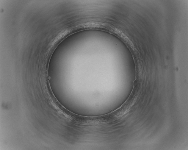 X0000072960625200608041153