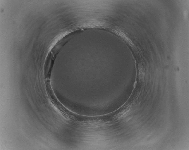 X0000072960626200608041153