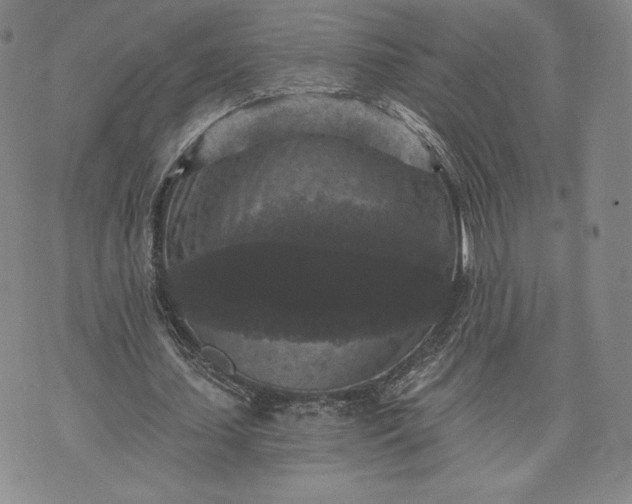 X0000072960627200608041153