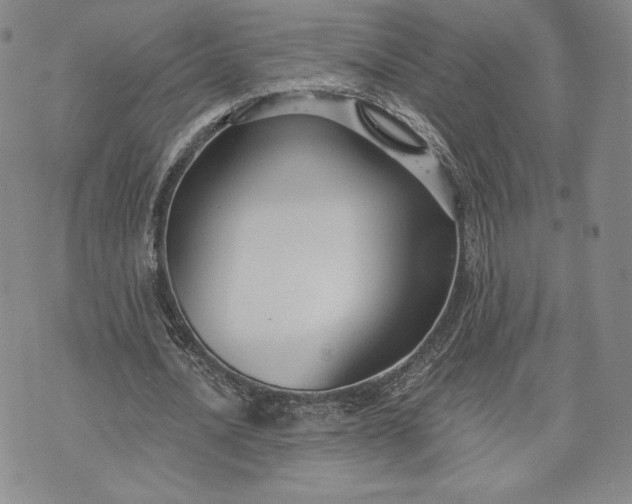 X0000072960628200608041153