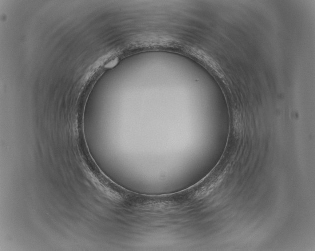 X0000072960629200608041153