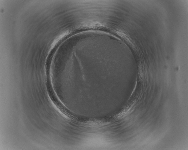 X0000072960630200608041153