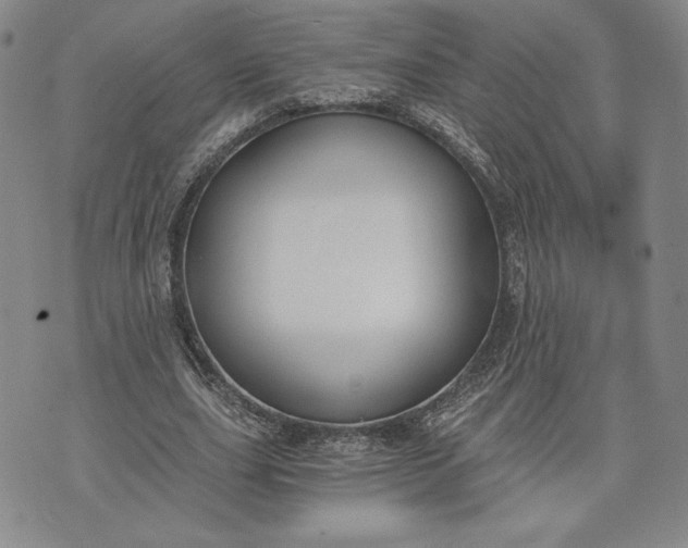 X0000072960631200608041153