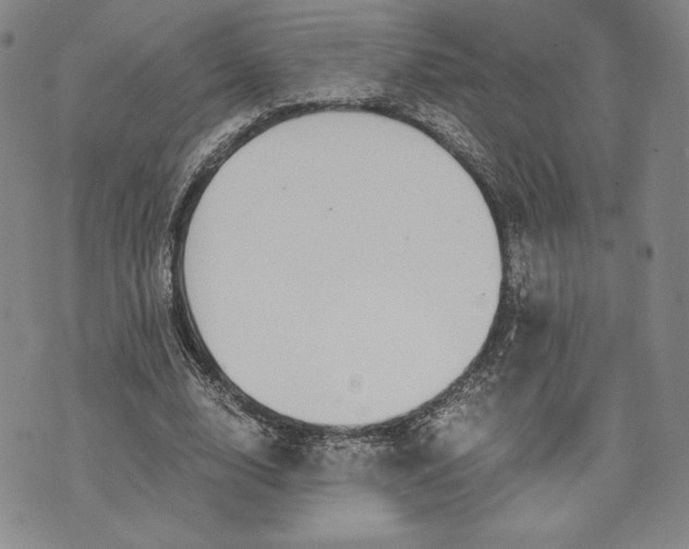 X0000072960632200608041153