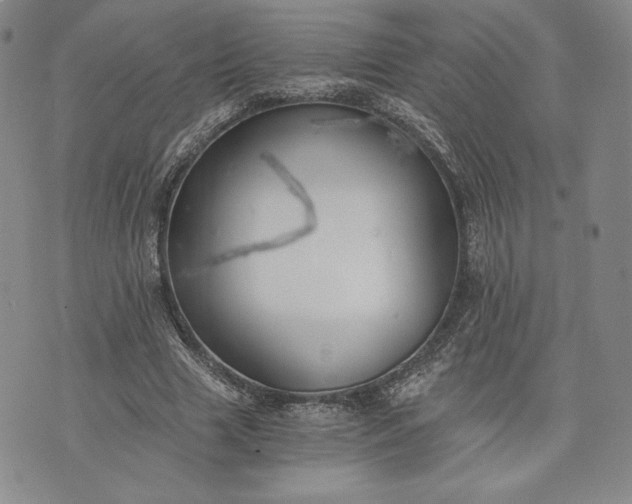 X0000072960633200608041153