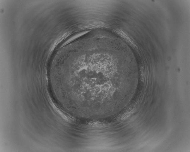 X0000072960634200608041153