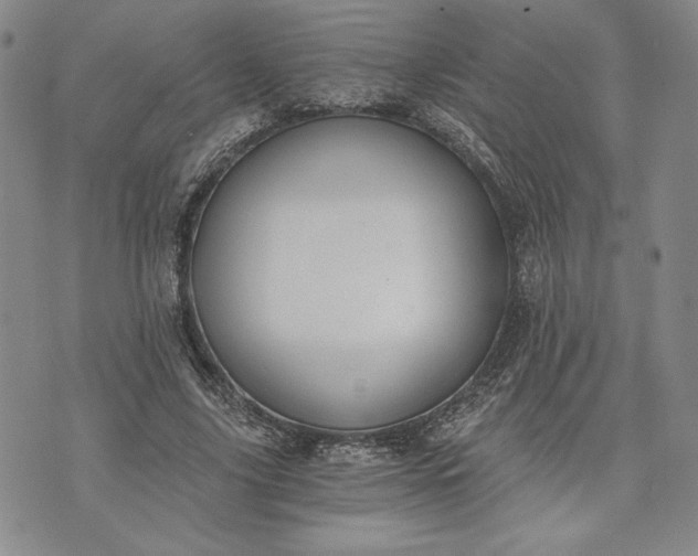 X0000072960635200608041154