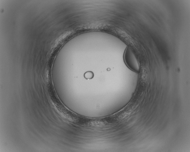 X0000072960636200608041154